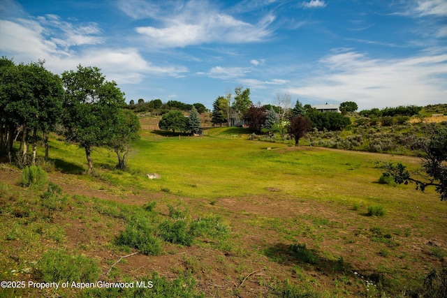 1459 County Road 102, Carbondale, CO 81623 - view of local wilderness with a rural view