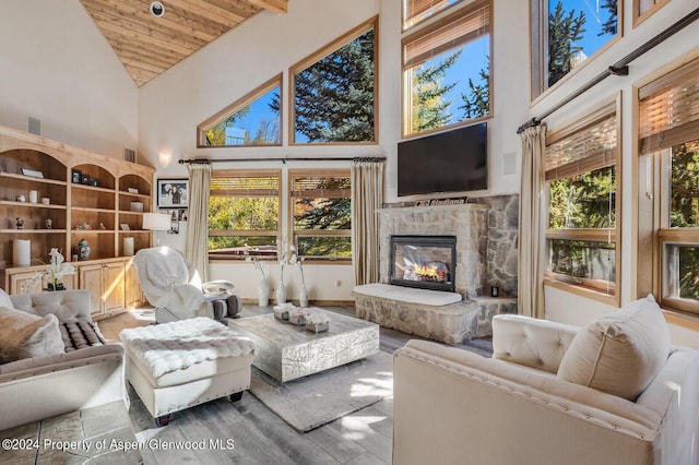 living room featuring a fireplace, hardwood / wood-style floors, and high vaulted ceiling