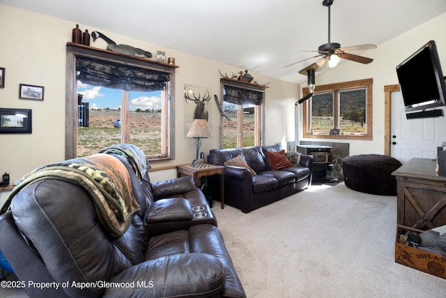 6180 County Road 320, Rifle, CO 81650 - photo 24