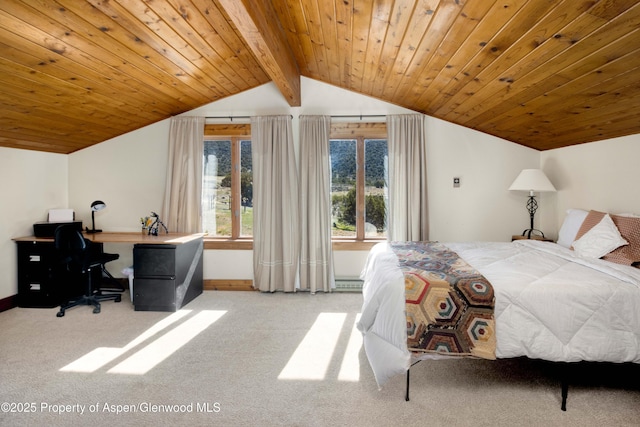 6180 County Road 320, Rifle, CO 81650 - photo 21