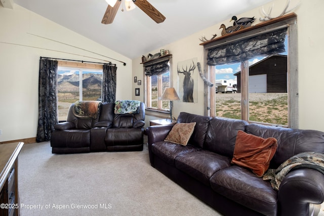 6180 County Road 320, Rifle, CO 81650 - photo 25