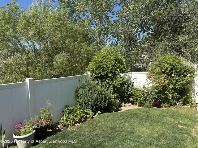 19 Angelica Cir, Parachute, CO 81635 - view of fenced backyard