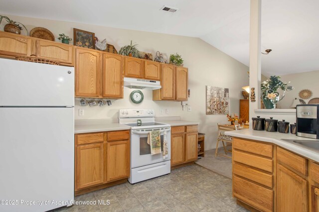19 Angelica Cir, Parachute, CO 81635 - kitchen featuring white appliances, under cabinet range hood, vaulted ceiling, and light countertops