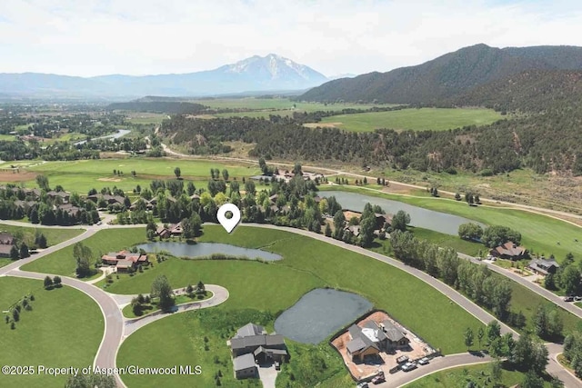928 Bald Eagle Way, Carbondale, CO 81623 - photo 5