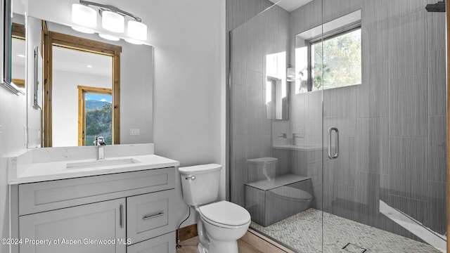 bathroom with vanity, toilet, and an enclosed shower