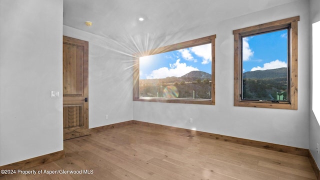 empty room featuring a mountain view and light wood-type flooring