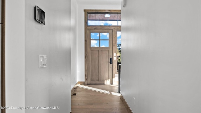 foyer entrance featuring hardwood / wood-style floors