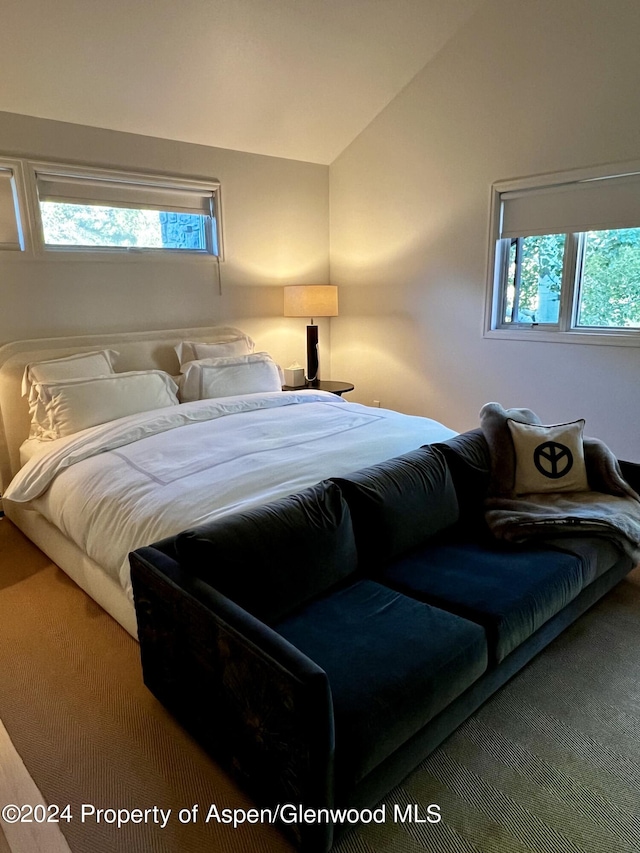 bedroom with lofted ceiling