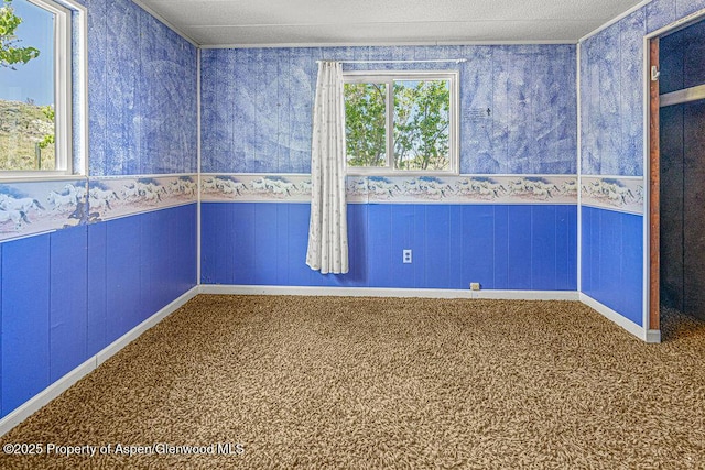 5990 County Road 7, Craig, CO 81625 - unfurnished room featuring carpet, wallpapered walls, a wainscoted wall, and baseboards