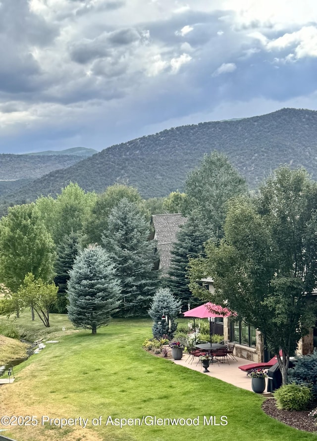 65 Upland Ln Unit 1, Carbondale, CO 81623 - photo 11