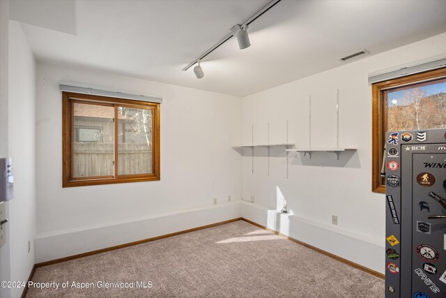 clothes washing area with carpet floors and track lighting