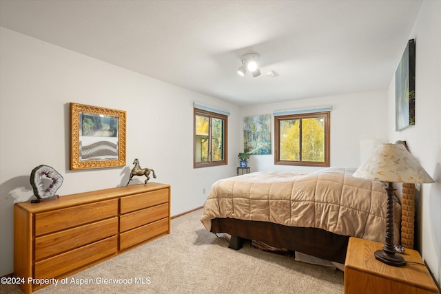 bedroom with carpet