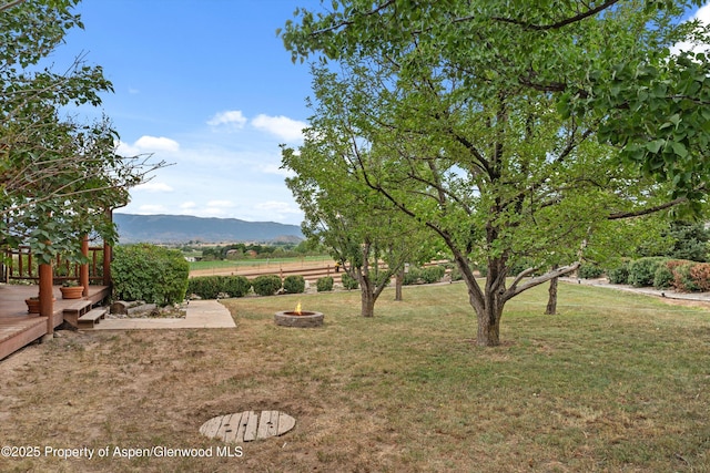 353 E Vista Dr, Silt, CO 81652 - photo 13