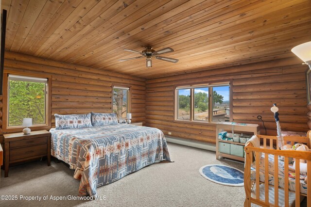 353 E Vista Dr, Silt, CO 81652 - photo 25