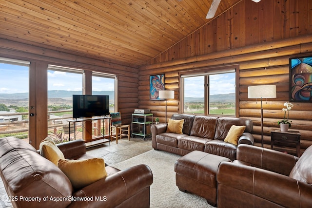 353 E Vista Dr, Silt, CO 81652 - photo 45
