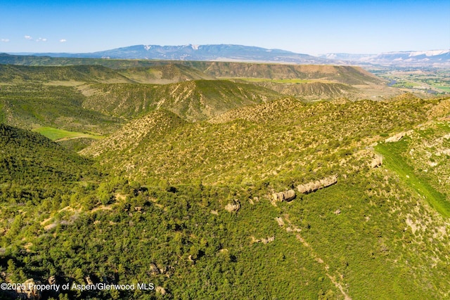LOT3 County Road 334, New Castle, CO 81647 - photo 12