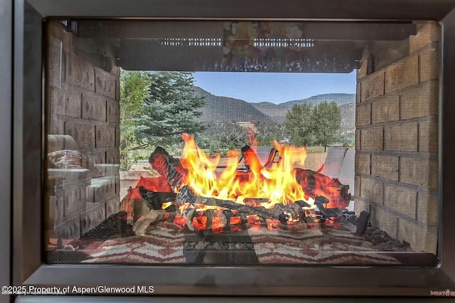 289 Sweetgrass Dr, Carbondale, CO 81623 - details featuring a fire pit