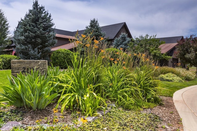 289 Sweetgrass Dr, Carbondale, CO 81623 - view of home's exterior