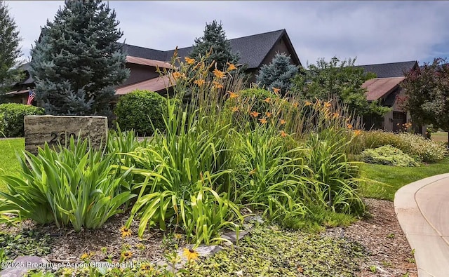 289 Sweetgrass Dr, Carbondale, CO 81623 - view of yard