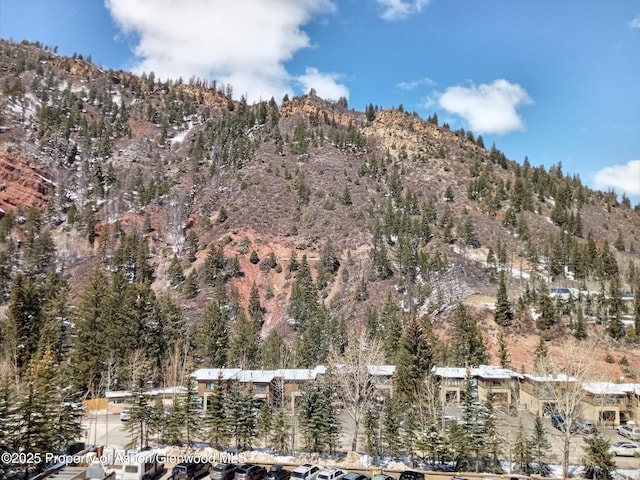 mountain view with a wooded view