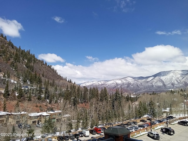 property view of mountains featuring a forest view