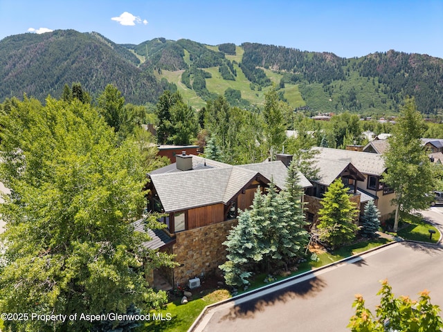 566 Race St, Aspen, CO 81611 - photo 22