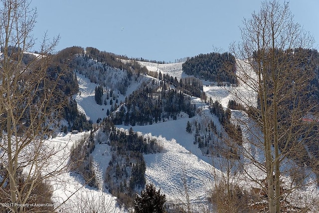 566 Race St, Aspen, CO 81611 - photo 19
