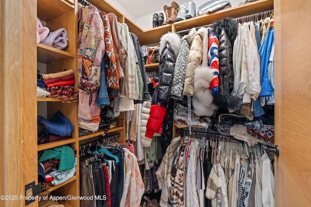45 Wood Rd Unit 403, Snowmass Village, CO 81615 - view of walk in closet