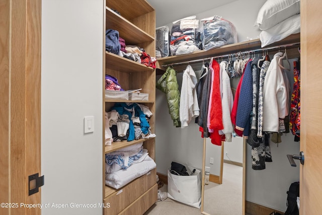 45 Wood Rd Unit 403, Snowmass Village, CO 81615 - walk in closet featuring carpet flooring