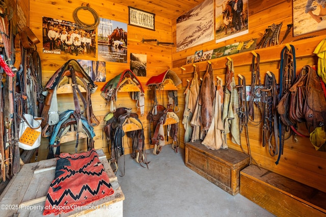 1432 Hooks Spur Rd, Basalt, CO 81621 - view of stable