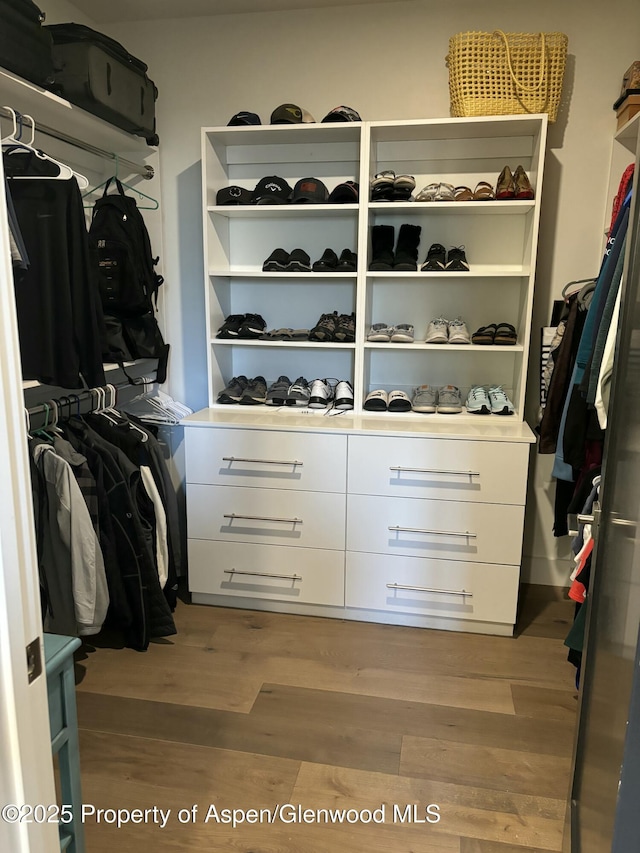 88 Green Mesa Pl, Parachute, CO 81635 - spacious closet with light wood finished floors