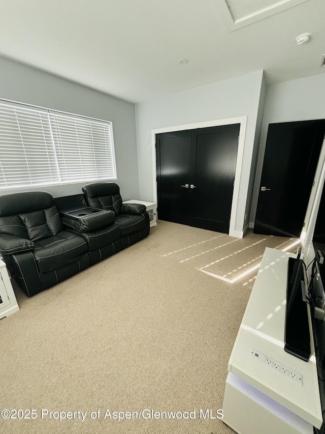 88 Green Mesa Pl, Parachute, CO 81635 - living area featuring carpet