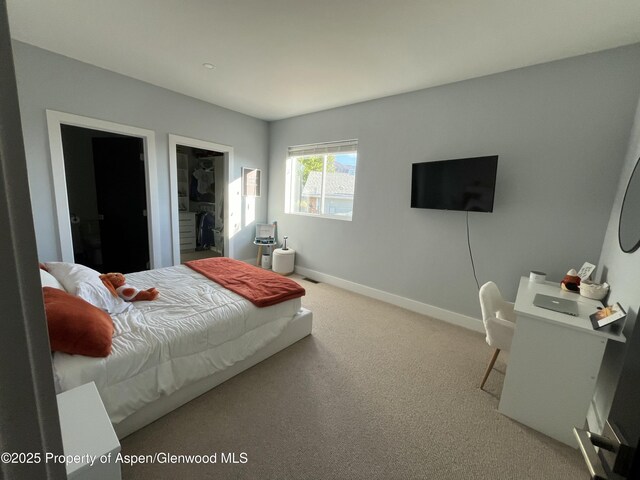 88 Green Mesa Pl, Parachute, CO 81635 - bedroom featuring carpet, baseboards, and a spacious closet
