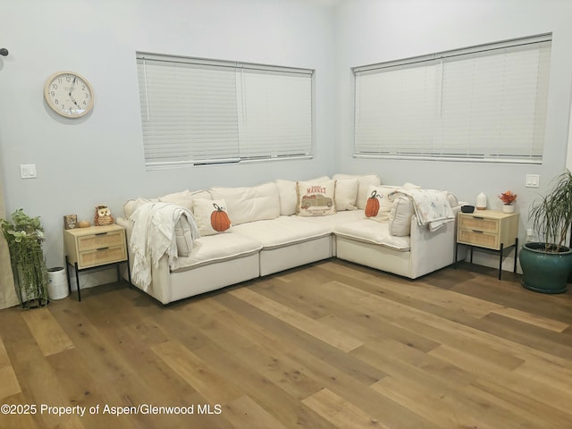 88 Green Mesa Pl, Parachute, CO 81635 - living area with wood finished floors