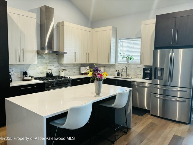 88 Green Mesa Pl, Parachute, CO 81635 - kitchen featuring appliances with stainless steel finishes, wall chimney exhaust hood, a sink, tasteful backsplash, and light wood-style flooring