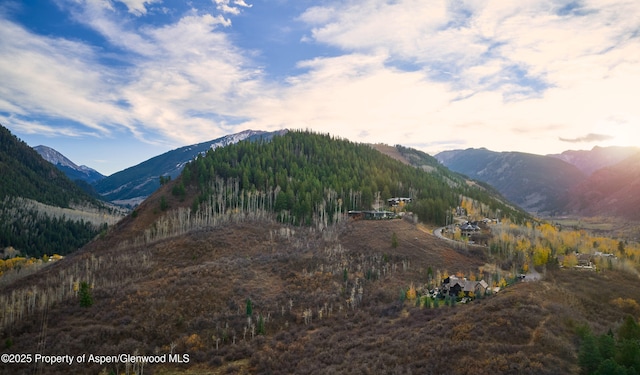864 Moore Dr, Aspen, CO 81611 - photo 36