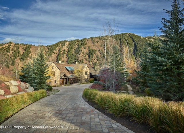 864 Moore Dr, Aspen, CO 81611 - photo 30