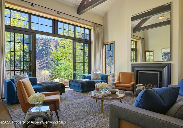 864 Moore Dr, Aspen, CO 81611 - photo 2