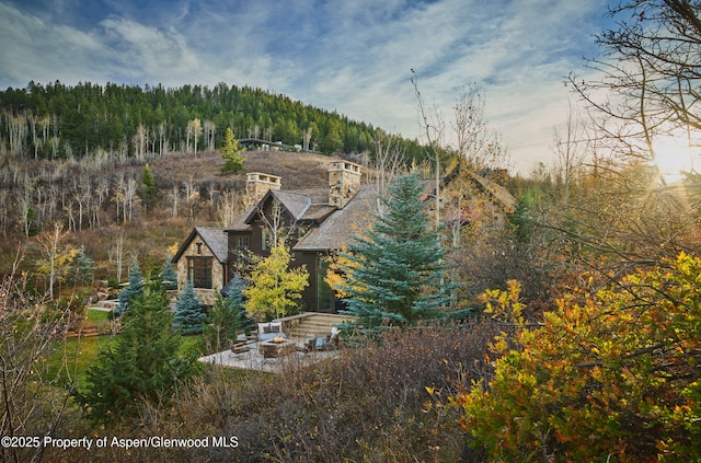864 Moore Dr, Aspen, CO 81611 - photo 31