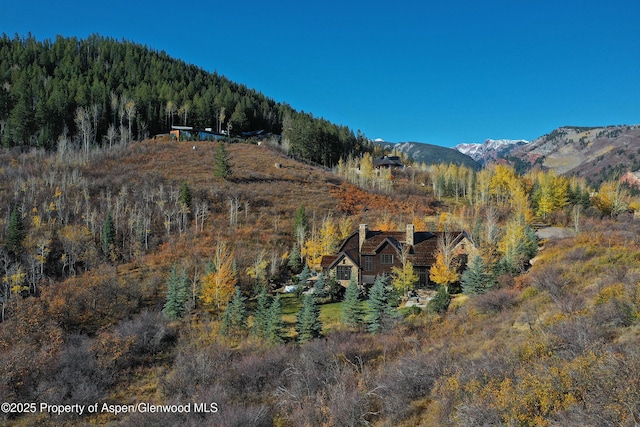864 Moore Dr, Aspen, CO 81611 - photo 4