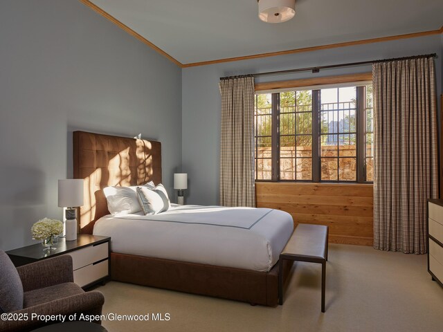 864 Moore Dr, Aspen, CO 81611 - photo 21