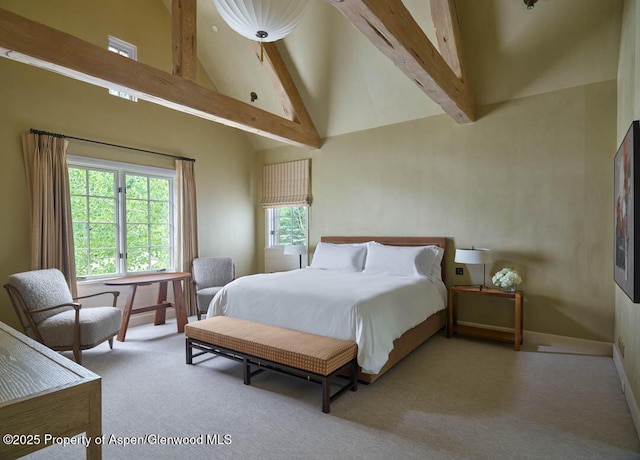 864 Moore Dr, Aspen, CO 81611 - photo 14