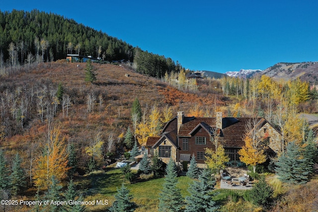 864 Moore Dr, Aspen, CO 81611 - photo 28
