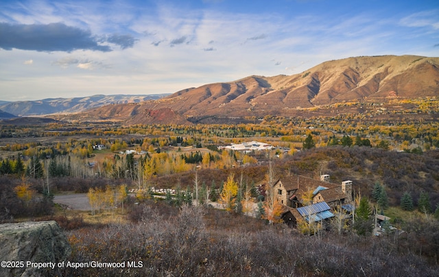 864 Moore Dr, Aspen, CO 81611 - photo 37