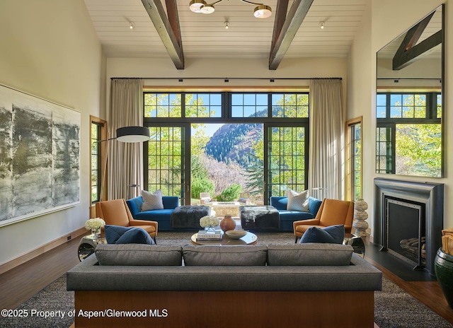 864 Moore Dr, Aspen, CO 81611 - photo 5