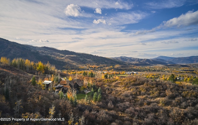 864 Moore Dr, Aspen, CO 81611 - photo 34