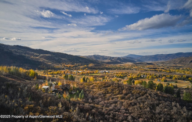 864 Moore Dr, Aspen, CO 81611 - photo 33