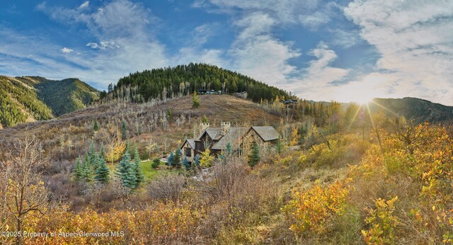 864 Moore Dr, Aspen, CO 81611 - photo 32