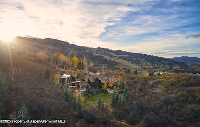 864 Moore Dr, Aspen, CO 81611 - photo 35