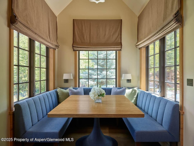 864 Moore Dr, Aspen, CO 81611 - photo 8